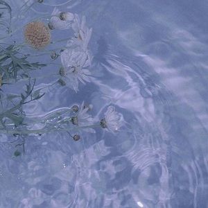 Meet your Posher, Charlene